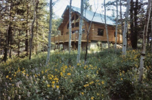 McGarity cabin